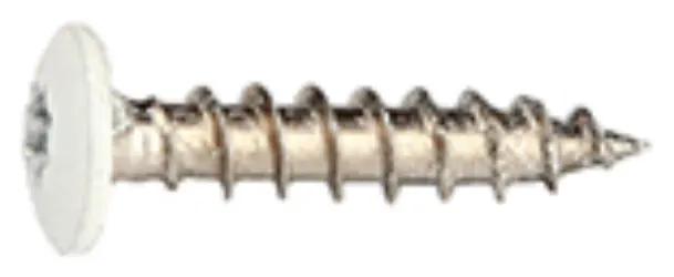 Fastex 125400193009 Bleckskruv 1000-pack, Stainlex, 4,0 x 19 mm Mörkröd
