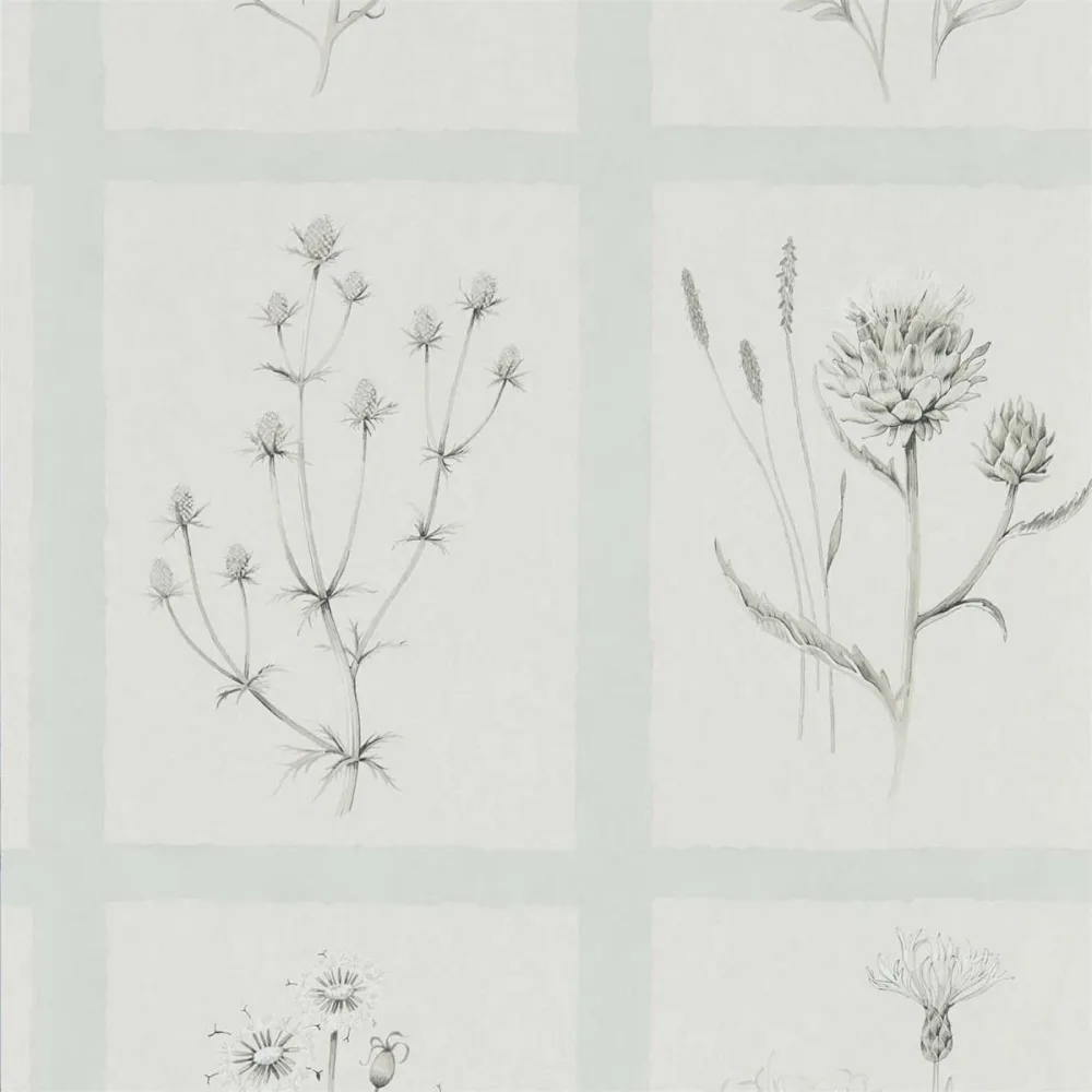 Embleton Bay Little Thistles Debb216513 Tapet | Stuvbutiken