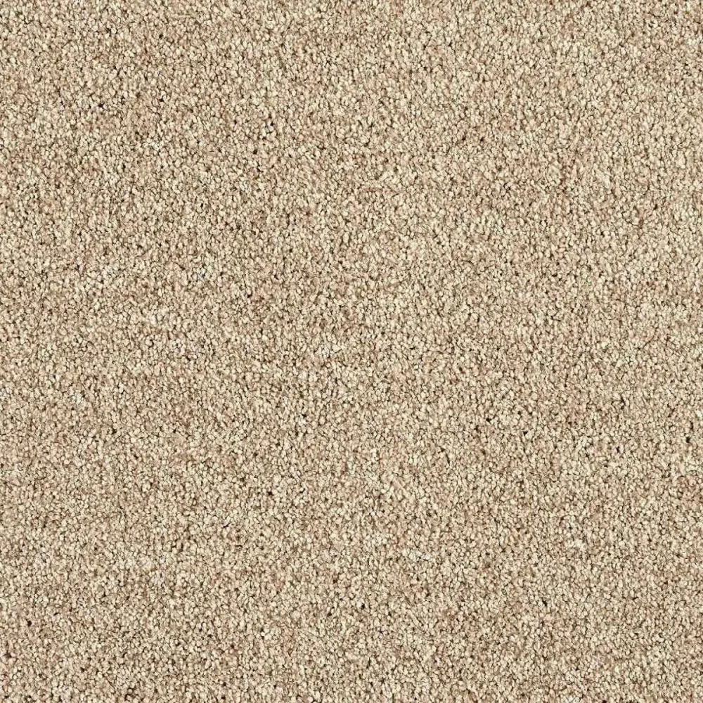 Heltäckningsmatta Euphoria Camel 260 400cm | Stuvbutiken