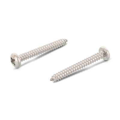 Schäfer & Peters 7981406350 Skruv 6,3 mm, RXS A4 ST, DIN 7981 C 6,3 x 50 mm, 200-pack