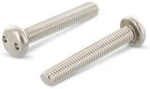 Schäfer & Peters 91012616 Säkerhetsskruv M6, med cylinderhuvud, A2, 100-pack M6 x 16 mm