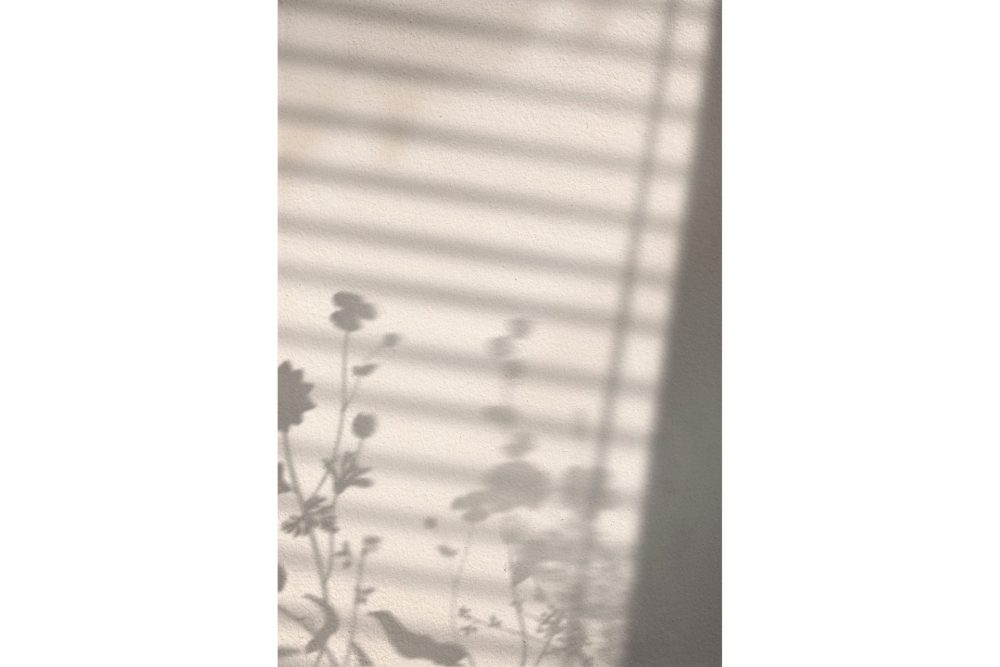 Poster Flower Shadow 50x70 cm