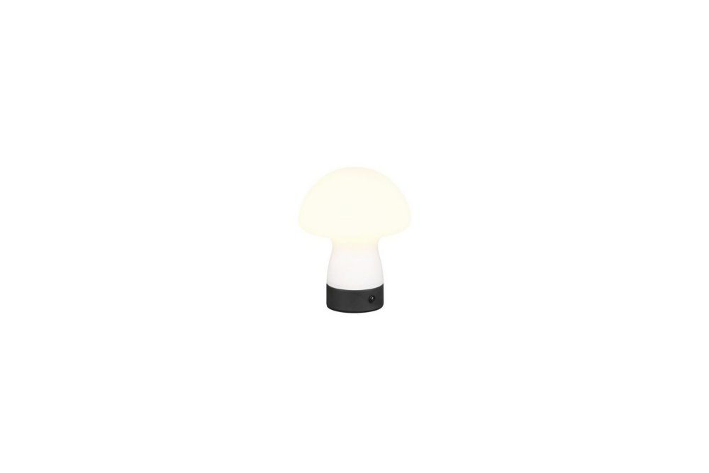 Bordslampa TRIO Dooley Mattvit