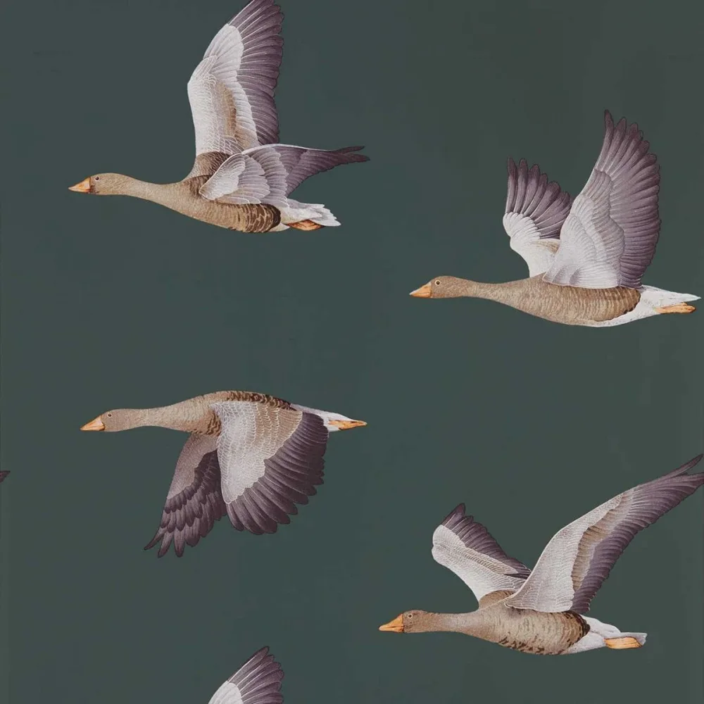 Elysian Geese (wallpaper) Dysi216608 Tapet | Stuvbutiken