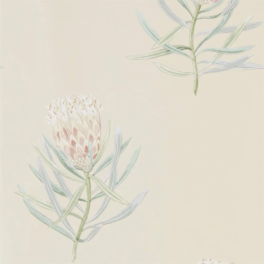 Art Of The Garden Protea Flower Dart216329 Tapet | Stuvbutiken