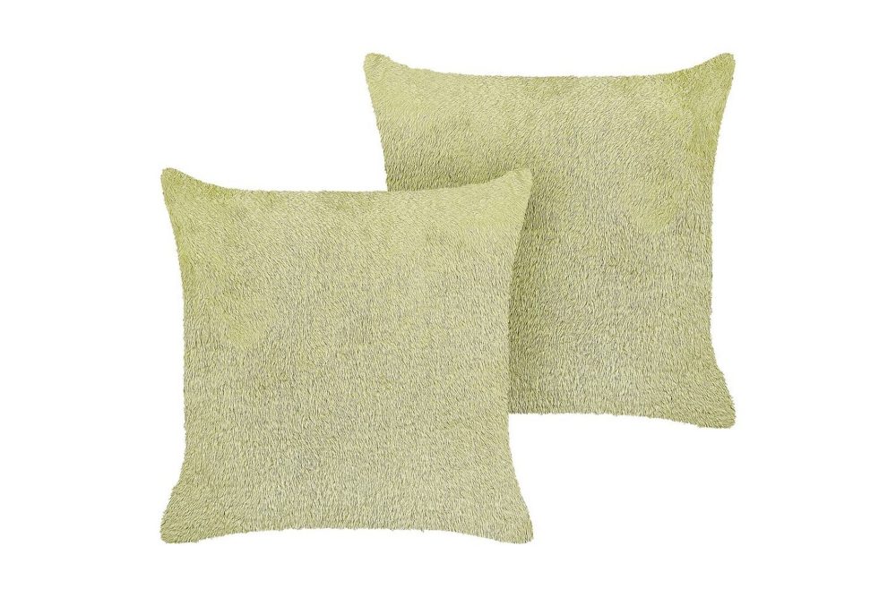 Prydnadskuddar Pilea set om 2 Grön