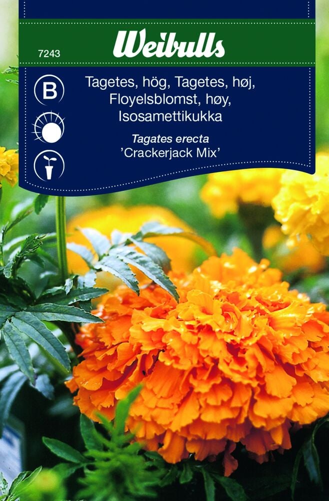 Frøpose Weibulls Fargerike blomster